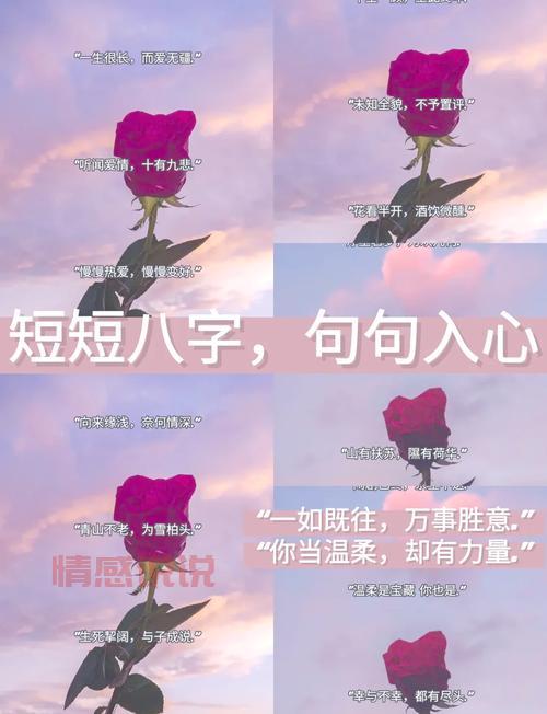 八字秀恩爱短句大全，这样