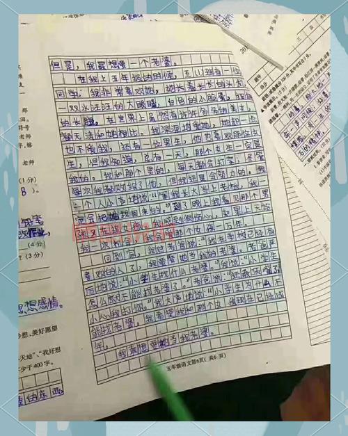 爆笑！我想找媳妇零分作文，小学生择偶标准大公开！