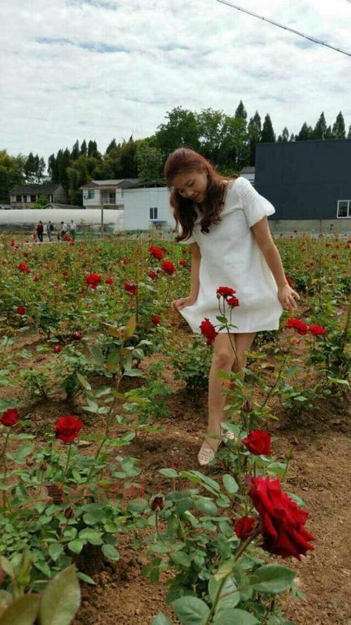 想在重庆征婚交友？这几个渠道和方法要知道！