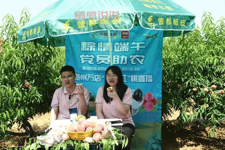 沈北大学城附近服务一条龙，省心又省力！