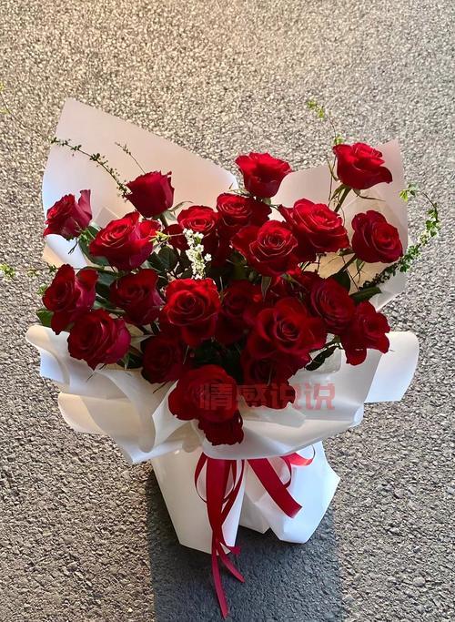 情人节玫瑰照片大图分享，氛围感直接拉满！