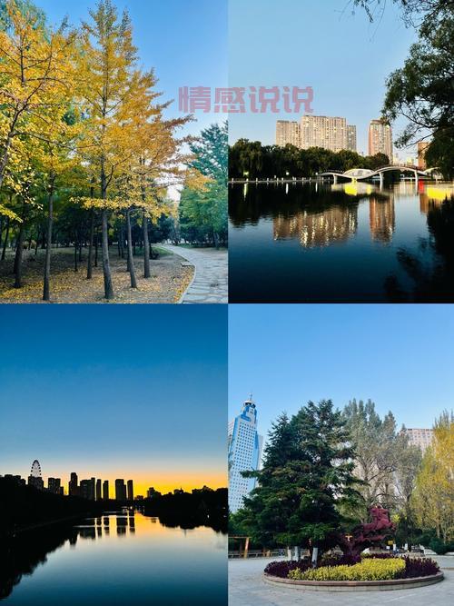 2021年沈阳南湖公园相亲会啥时候？看这篇就懂！