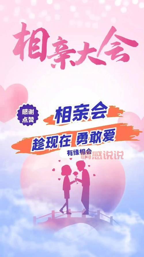 还在单身？所有相亲节目有哪些？快来了解一下！