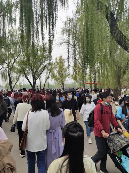 北京玉渊潭相亲角啥时候人最多？看完不白跑！