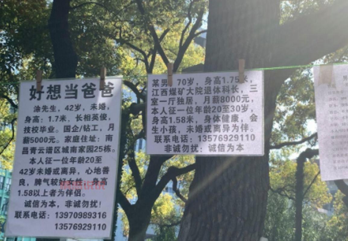 中山百姓征婚启事怎么写？看这篇就够了！