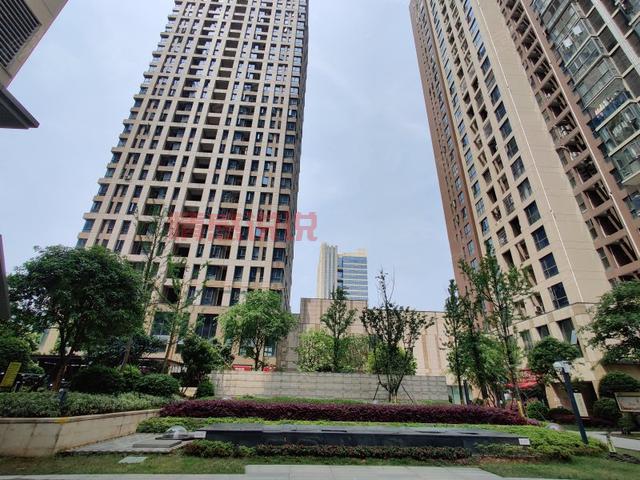 长沙开福区婚介所怎么选？看这几点不踩坑！