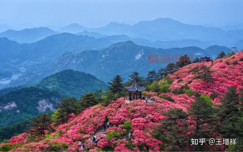 想了解麻城本地事？麻城信息网别错过！