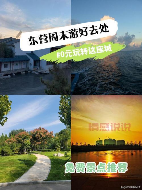 山东东营找单身男攻略，看这一篇就够了！