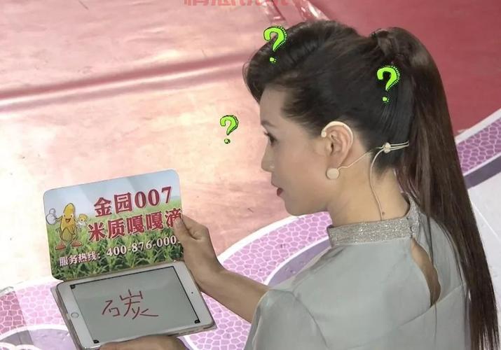 找全城热恋燕子？这有主持人燕子的完整资料！