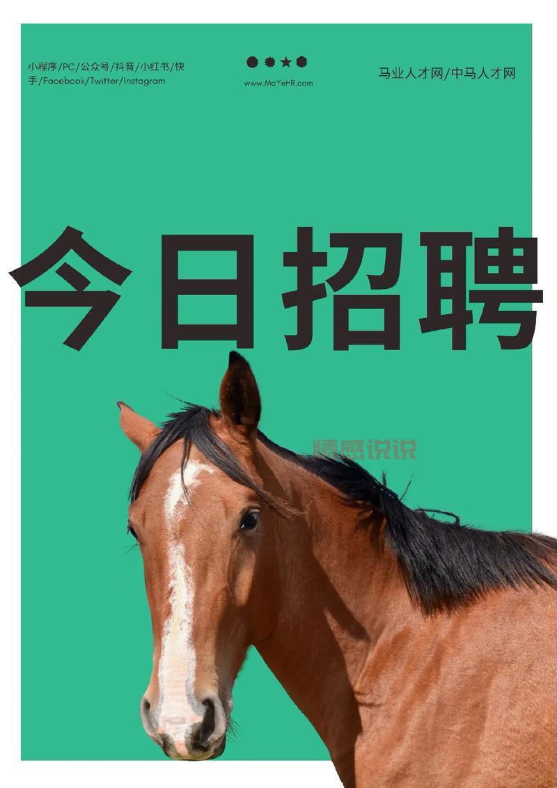 想在深圳找工作？试试深圳招聘网马头！