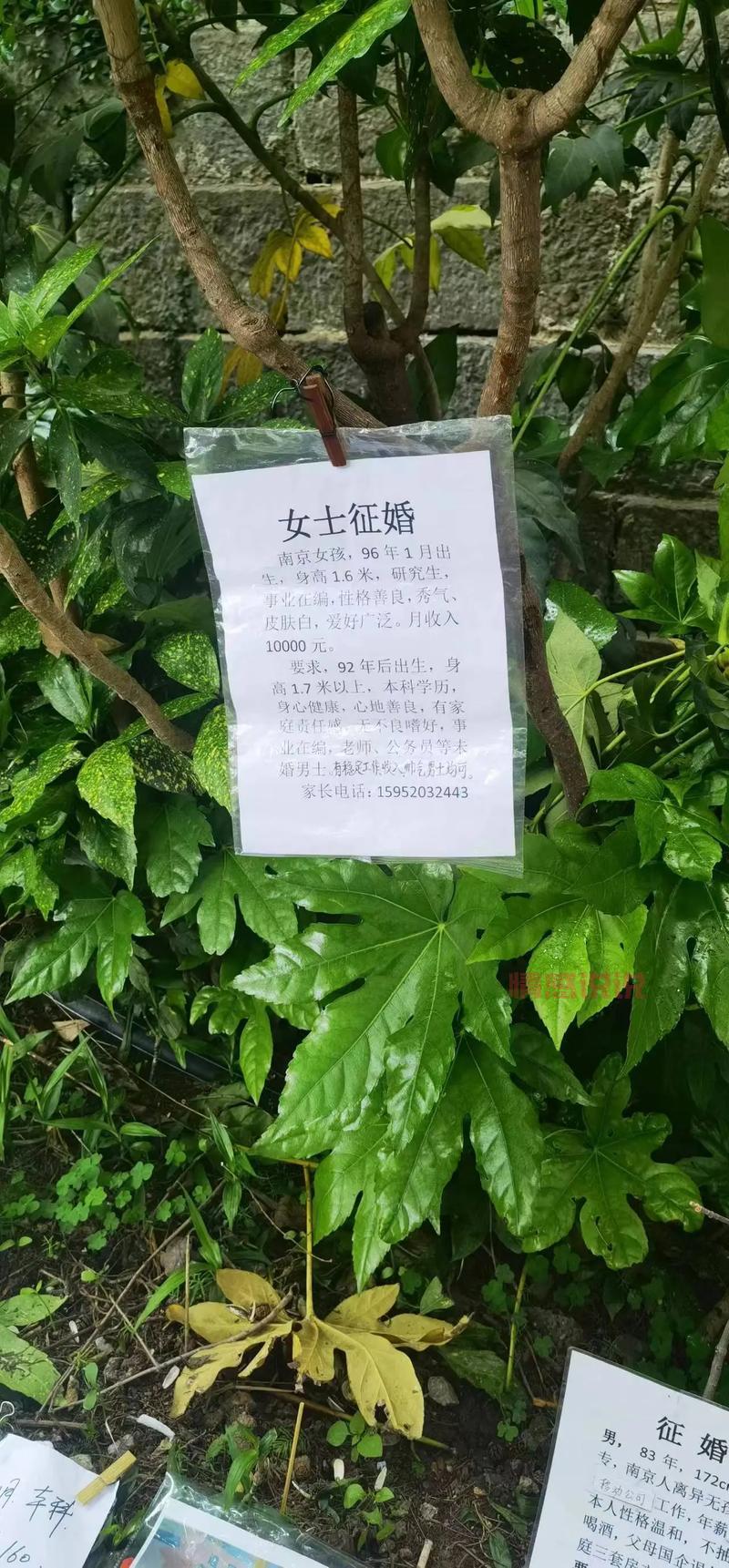 想在南京找对象？试试这些靠谱的南京市交友网站吧！