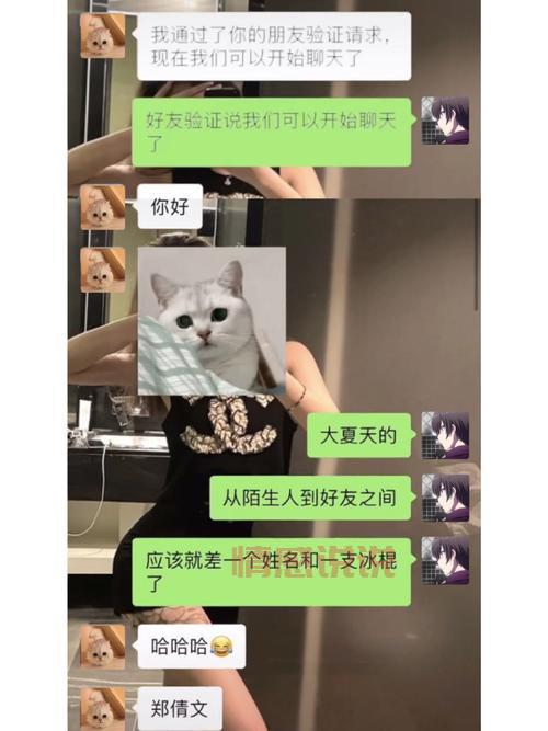 网上如何撩陌生的妹子不尬聊？这几招开场白轻松破冰！