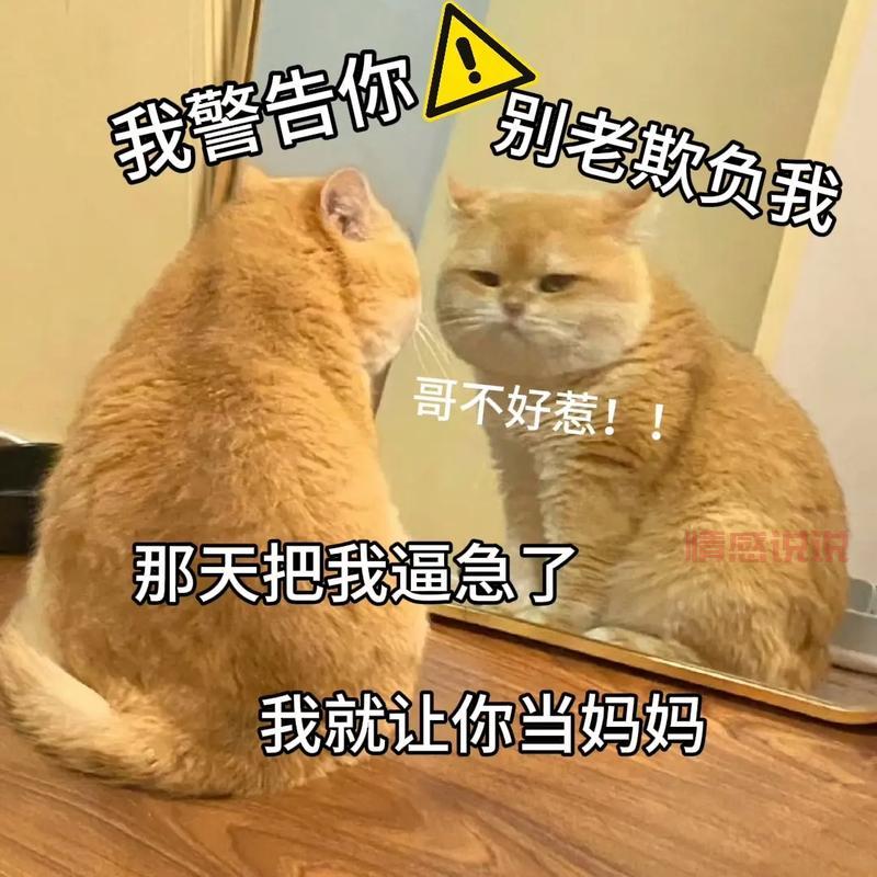 富婆交友网恋诈骗项目套路深：了解这些，让你不再被坑！