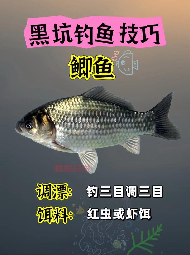 最新的滑县钓鱼群微信都在哪？找钓友交流钓鱼技巧看这里！