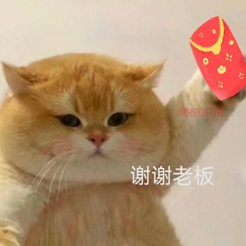 收到红包幽默感谢语大全，让你成为朋友圈最受欢迎的人