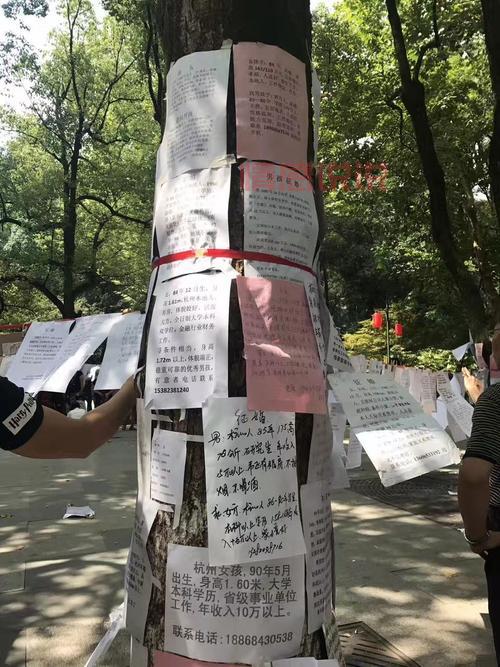 天坛公园老年人相亲攻略，助您找到心仪伴侣！