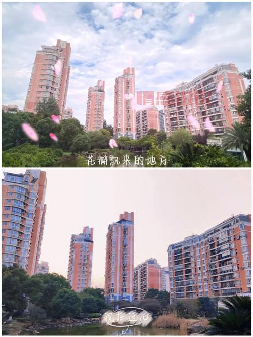 上海爱情公寓地址到底在哪里？揭秘真实的拍摄地和剧中不同。