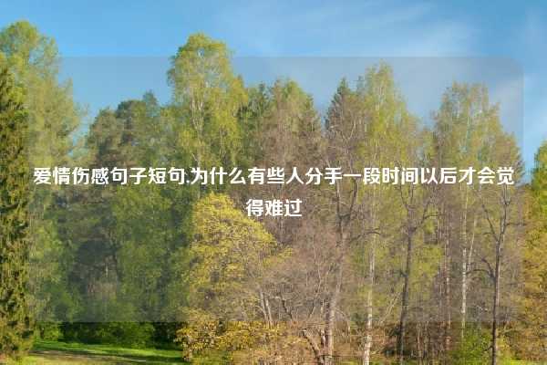 爱情伤感句子短句,为什么有些人分手一段时间以后才会觉得难过