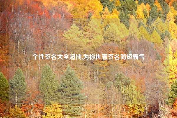 个性签名大全超拽,为祢执著签名简短霸气