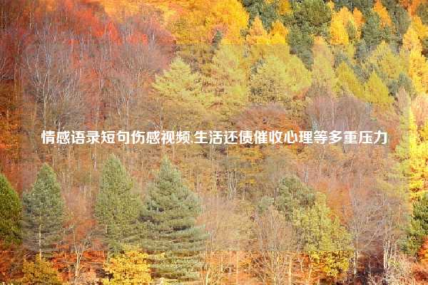 情感语录短句伤感视频,生活还债催收心理等多重压力