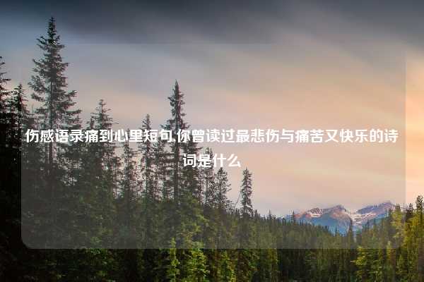 伤感语录痛到心里短句,你曾读过最悲伤与痛苦又快乐的诗词是什么