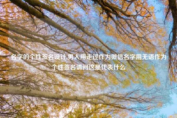 名字的个性签名设计,男人用走过作为微信名字用无语作为个性签名请问这是代表什么