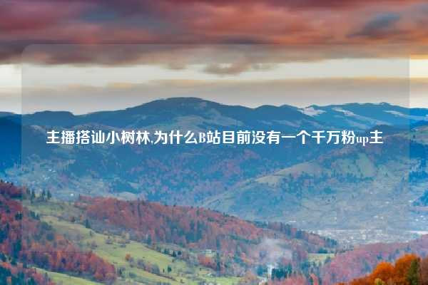 主播搭讪小树林,为什么B站目前没有一个千万粉up主