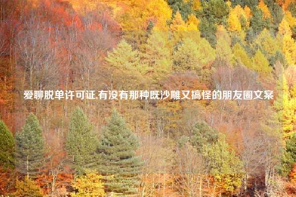 爱聊脱单许可证,有没有那种既沙雕又搞怪的朋友圈文案