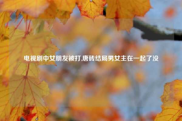 电视剧中女朋友被打,唐砖结局男女主在一起了没