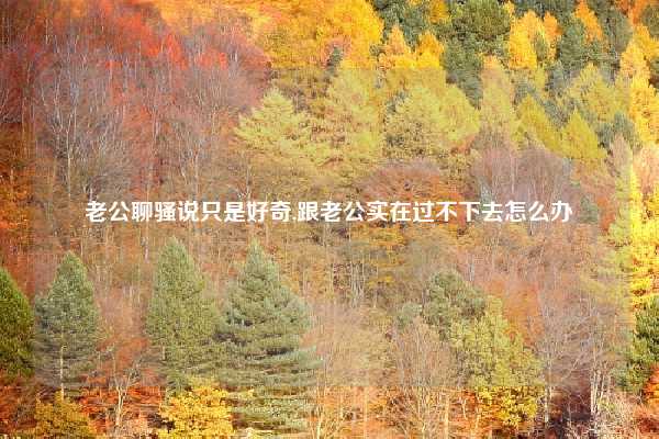 老公聊骚说只是好奇,跟老公实在过不下去怎么办