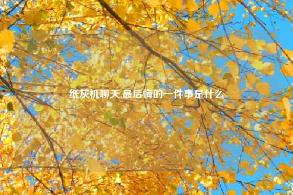 纸灰机聊天,最后悔的一件事是什么