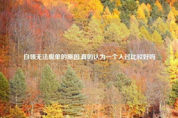 白领无法脱单的原因,真的认为一个人过比较好吗