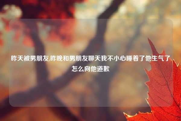 昨天被男朋友,昨晚和男朋友聊天我不小心睡着了他生气了怎么向他道歉