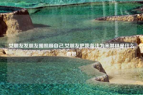 女朋友发朋友圈照顾自己,女朋友把我备注为米其林是什么意思