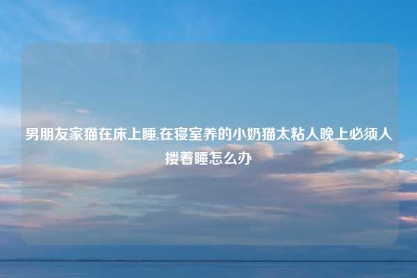 男朋友家猫在床上睡,在寝室养的小奶猫太粘人晚上必须人搂着睡怎么办