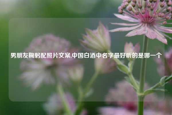 男朋友鞠躬配照片文案,中国白酒中名字最好听的是哪一个