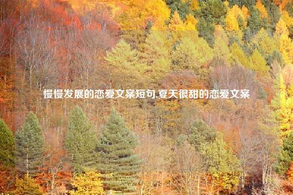 慢慢发展的恋爱文案短句,夏天很甜的恋爱文案