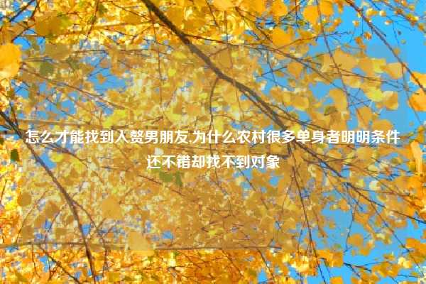 怎么才能找到入赘男朋友,为什么农村很多单身者明明条件还不错却找不到对象