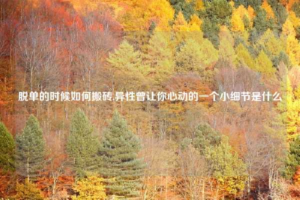 脱单的时候如何搬砖,异性曾让你心动的一个小细节是什么