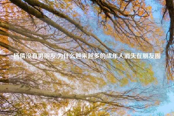 杨倩没有男朋友,为什么越来越多的成年人消失在朋友圈