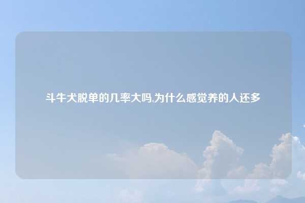 斗牛犬脱单的几率大吗,为什么感觉养的人还多