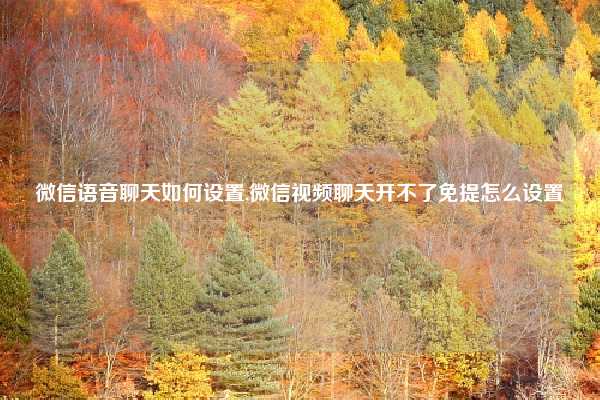 微信语音聊天如何设置,微信视频聊天开不了免提怎么设置