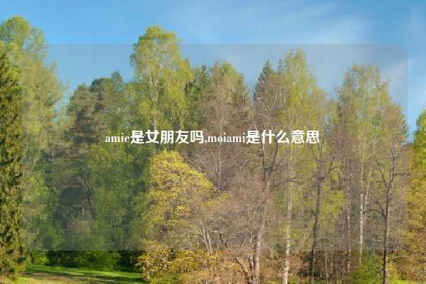 amie是女朋友吗,moiami是什么意思