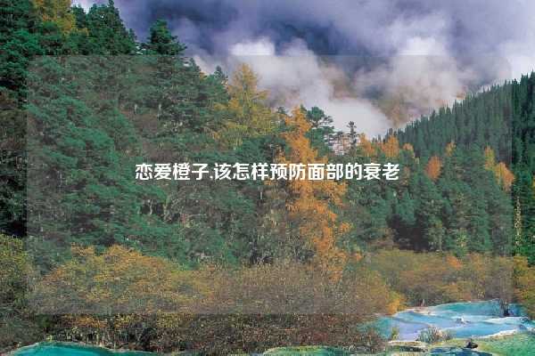 恋爱橙子,该怎样预防面部的衰老