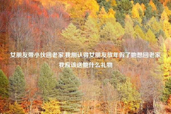 女朋友带小伙回老家,我刚认得女朋友放年假了她想回老家我应该送她什么礼物