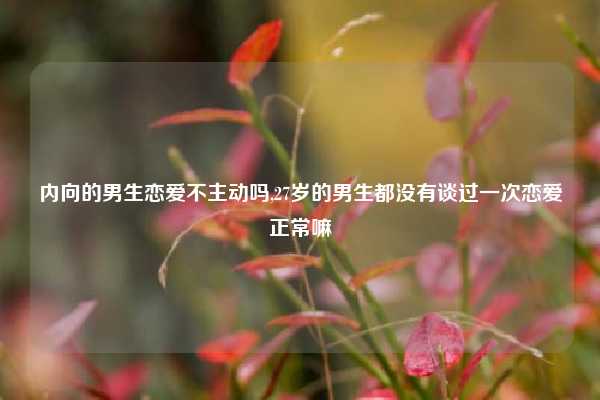 内向的男生恋爱不主动吗,27岁的男生都没有谈过一次恋爱正常嘛