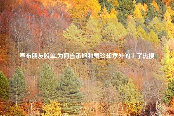 宣布朋友脱单,为何言承旭和贾玲却意外的上了热搜