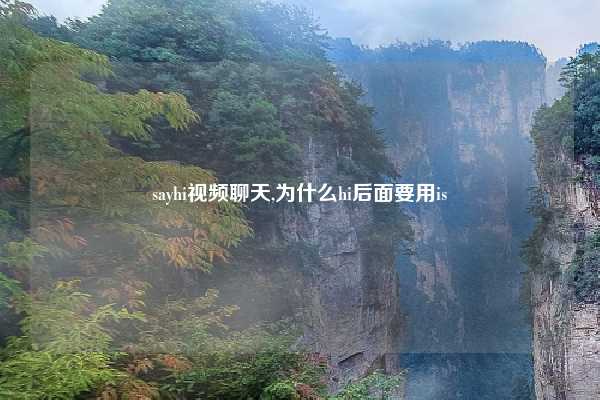 sayhi视频聊天,为什么hi后面要用is