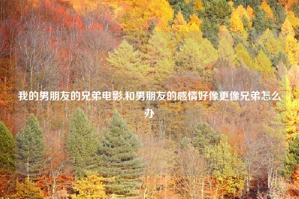 我的男朋友的兄弟电影,和男朋友的感情好像更像兄弟怎么办
