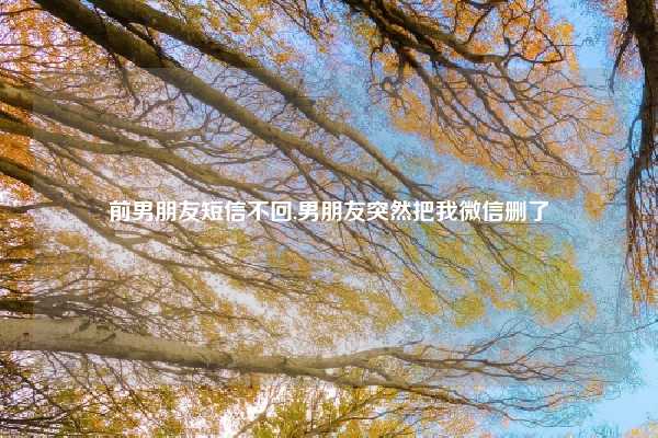 前男朋友短信不回,男朋友突然把我微信删了